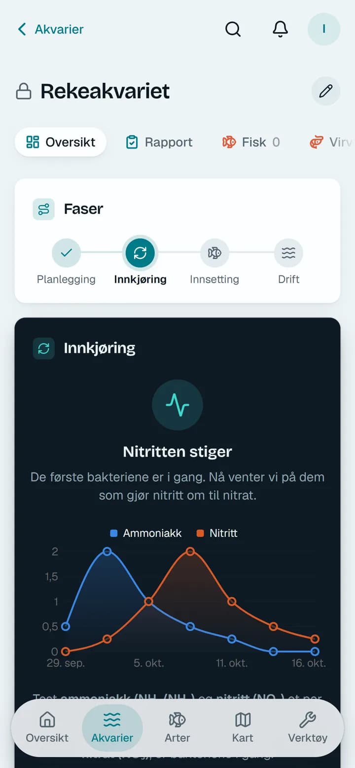 Innkjøringen av et akvarium, med ammoniakk og nitritt i en graf